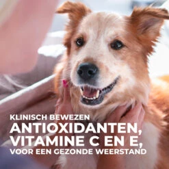 Hill's Science Plan Culinary Creations Eend En Aardappel Medium Hond 14kg -Dierbenodigdheden Winkel 052742054735 7 NL