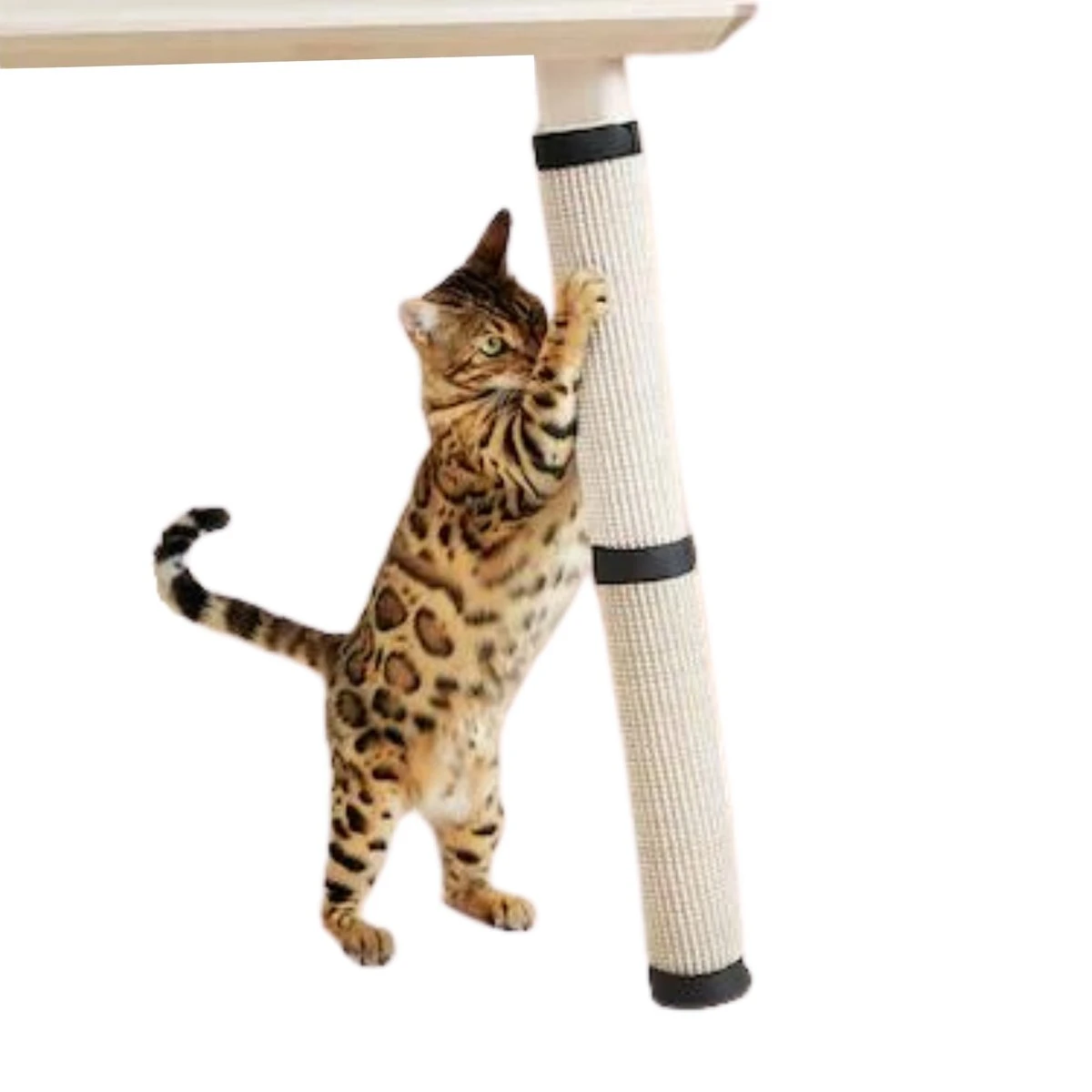 Make Me Purr Krabmat Met Klittenband (63×25 Cm) – Sisal Krabpaal Voor Katten – Kat Krab Mat Voor Tafelpoot – Tafel Krab Paal Meubel – Kitten Krappaal – Krabmeubel Van Sisaltouw – Meubelbescherming 3 Make Me Purr Krabmat Met Klittenband (63×25 Cm) – Sisal Krabpaal Voor Katten – Kat Krab Mat Voor Tafelpoot – Tafel Krab Paal Meubel – Kitten Krappaal – Krabmeubel Van Sisaltouw – Meubelbescherming