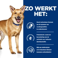 Hill's I/D Kip & Groenten Stoofpotje Hond 12x354g -Dierbenodigdheden Winkel 52742039855 2 NL