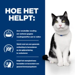 Hill's Hill’s Prescription Diet I/D – Kattenvoer Met Kip – 24x156g -Dierbenodigdheden Winkel 52742039916 3 NL