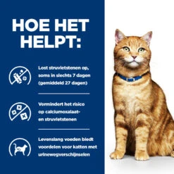 Hill's Prescription Diet C/d Multicare Urinary Care Kattenvoer Met Kip 12kg -Dierbenodigdheden Winkel 52742042121 3 NL