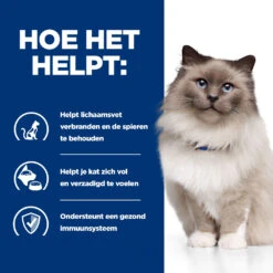 Hill's Prescription Diet R/d Weight Reduction Kattenvoer Met Kip 3kg -Dierbenodigdheden Winkel 52742048185 3 NL