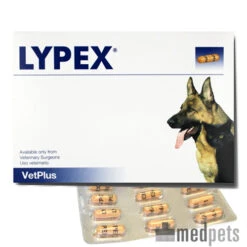 Vetplus Lypex -Dierbenodigdheden Winkel 60f62aa9ec687b3ca7ac6bc03d38181d77de4ab7ceea03d91cc7a779a6505833 3 4