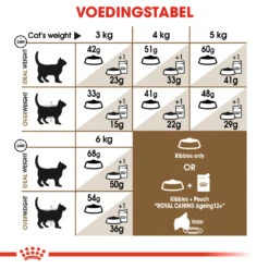 Royal Canin Ageing 12+ Kat 4kg 7 Royal Canin Ageing 12+ Kat 4kg -Dierbenodigdheden Winkel 9ceb39e837ba7480077b21230bc47074a9280873228e651612153a1f21d0b998 1
