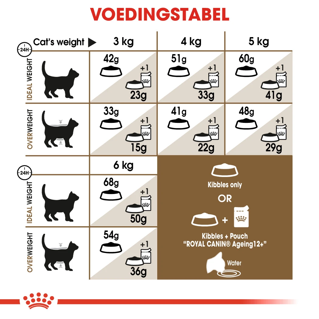 Royal Canin Ageing 12+ Kat 4kg 5 Royal Canin Ageing 12+ Kat 4kg - Afbeelding 3