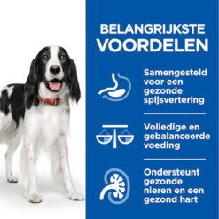 Hill's Science Plan Healthy Cuisine Hond Multipack Met Kip En Rund 12x90g -Dierbenodigdheden Winkel Hills Healthy Cuisine Stoofpotje Hond 2 NL