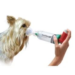 AeroDawg Inhalatiesysteem -Dierbenodigdheden Winkel aerodawg inhalatiesysteem 134986 2000 none