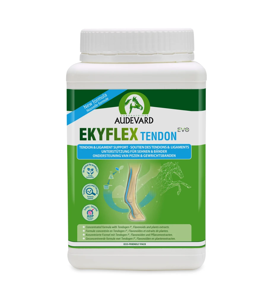 Audevard Ekyflex Tendon EVO 3 Audevard Ekyflex Tendon EVO