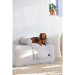 Designed By Lotte Bankkussen Ribbed -Dierbenodigdheden Winkel designed by lotte bankkussen ribbed 222738 2000 none