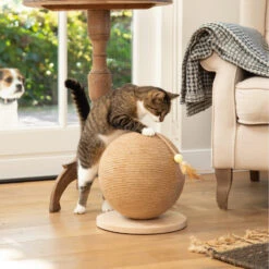 Designed By Lotte Krabbol Balty -Dierbenodigdheden Winkel designed by lotte krabbol balty 164809 2000 none