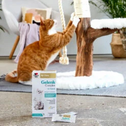 Doppelherz Gelenk Complex Voor Katten -Dierbenodigdheden Winkel doppelherz gelenk complex fuer katzen 195053 1000 none