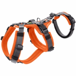 Hunter Veiligheidsharnas Maldon -Dierbenodigdheden Winkel harness veiligheidsharnas maldon xs oranjegrijs 136763 1500 none