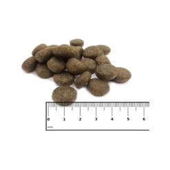 ICEPAW Scandic Duck -Dierbenodigdheden Winkel icepaw scandic duck 221035 1000 none