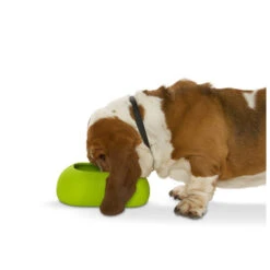 Buster Incredibowl 12 Buster Incredibowl -Dierbenodigdheden Winkel product buster incredibowl none 4 1479720007 80827