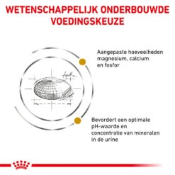 Royal Canin Urinary S/O Kat - Maaltijdzakje -Dierbenodigdheden Winkel royal canin urinary so kat 153808 1000 none