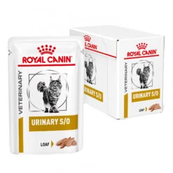 Royal Canin Urinary S/O Kat - Maaltijdzakje -Dierbenodigdheden Winkel royal canin urinary so kat 223202 2000 none