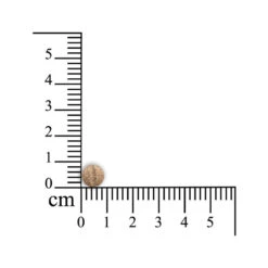 Sensipharm Sneeze Aid Kat 10 Sensipharm Sneeze Aid Kat -Dierbenodigdheden Winkel sensipharm sneeze aid kat 174685 1000 none