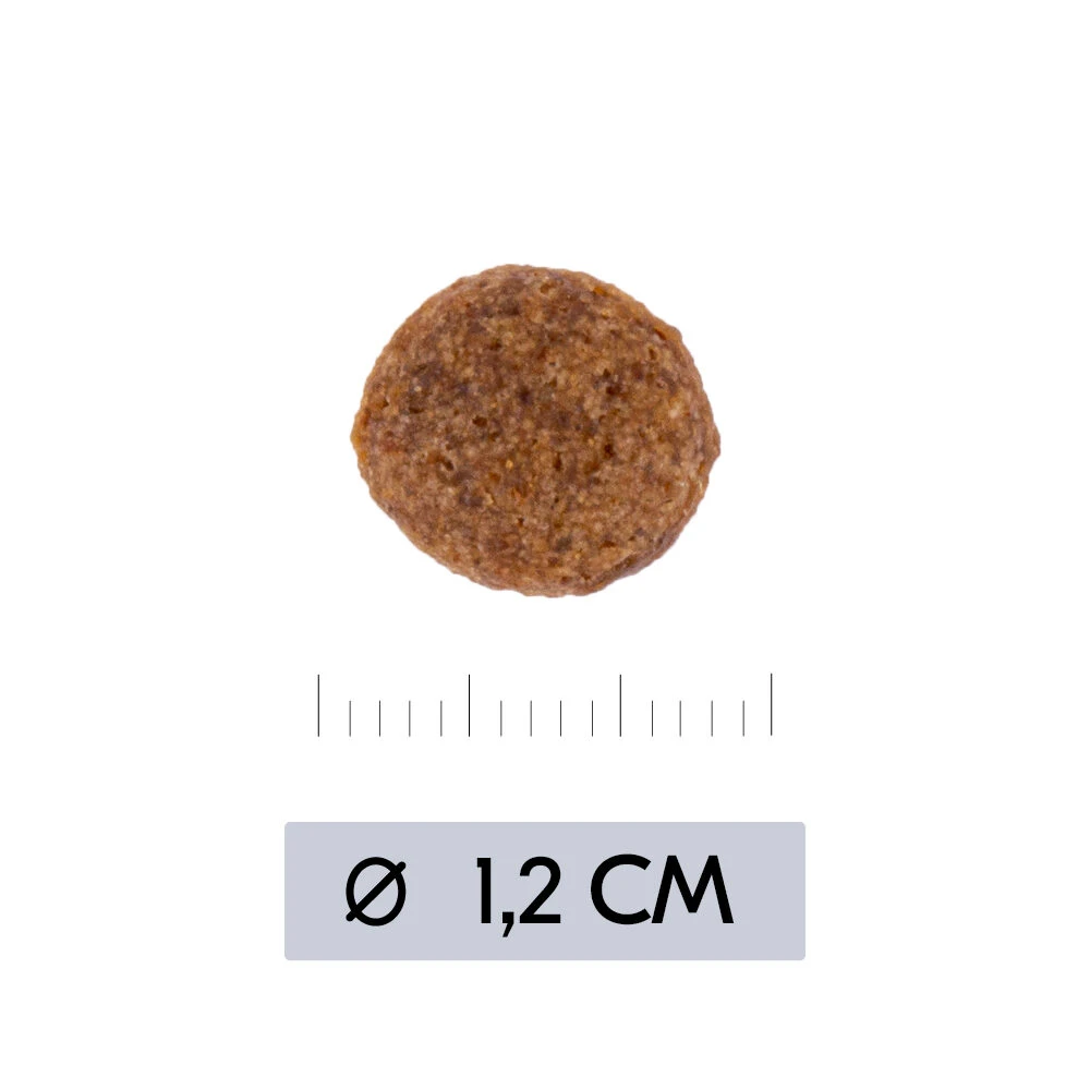 Vetality Hypoallergenic - Hondenvoer 10 Vetality Hypoallergenic - Hondenvoer - Afbeelding 8